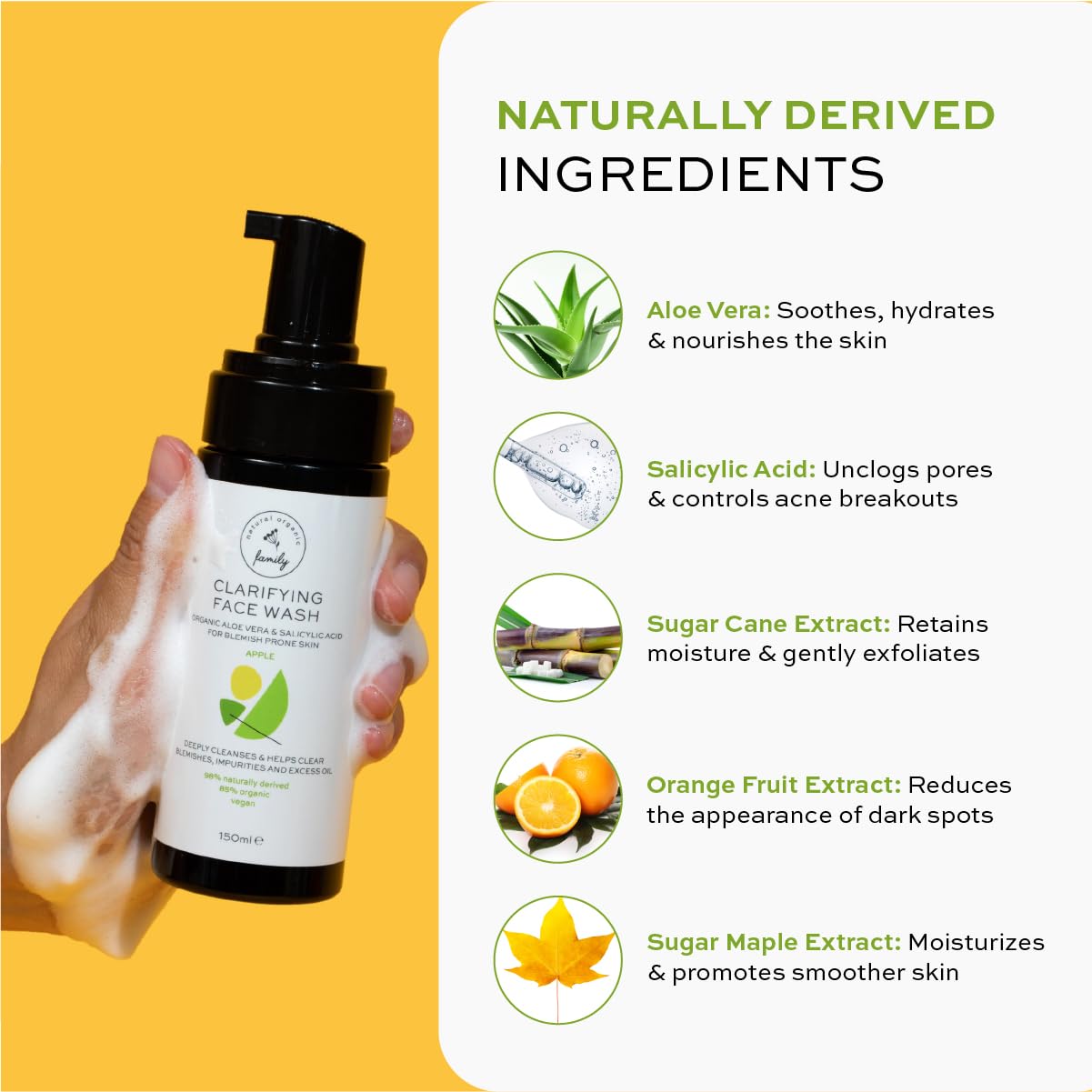 The Natural and Organic Family Clarifying Face Wash with Salicylic Acid - Facial Cleanser for Oily, Normal, and Combination Skin - Exfoliating, Pore Minimizing Formula for Teens